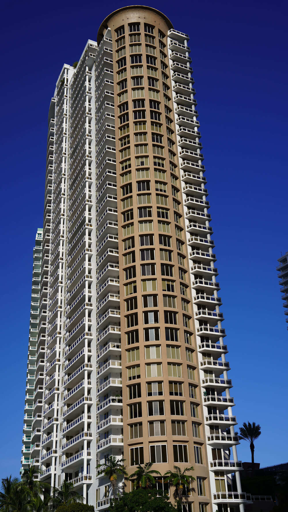 Carbonell condo photo 2