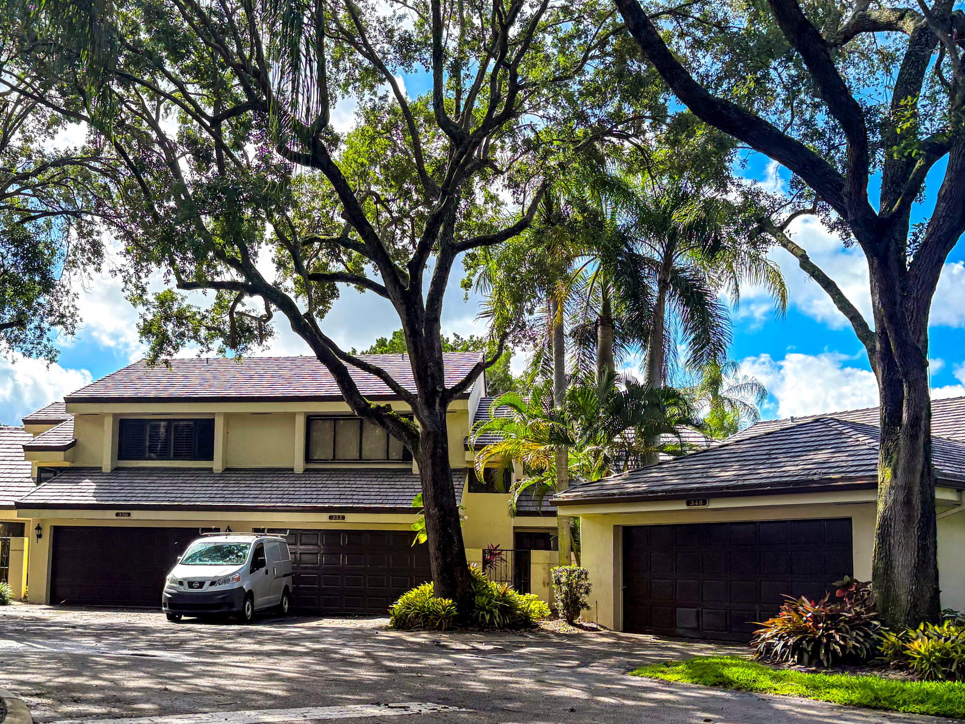 Chelsea III at Jacaranda