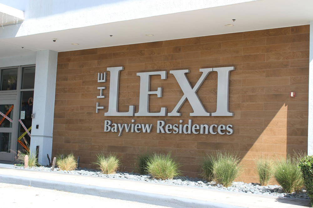 Lexi - 1