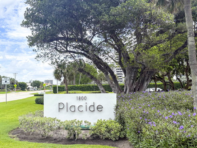 Placide  photo 2