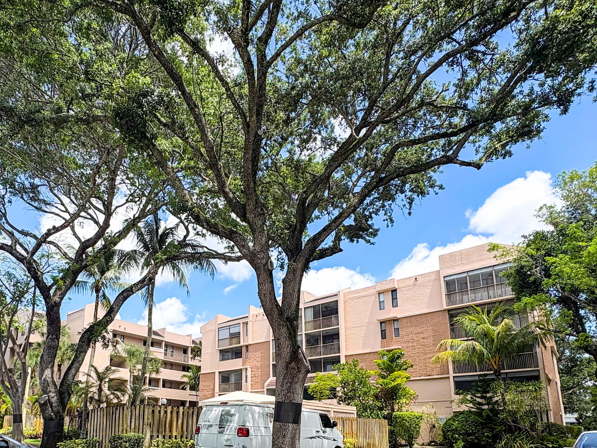 Royal Palm at Plantation - 1