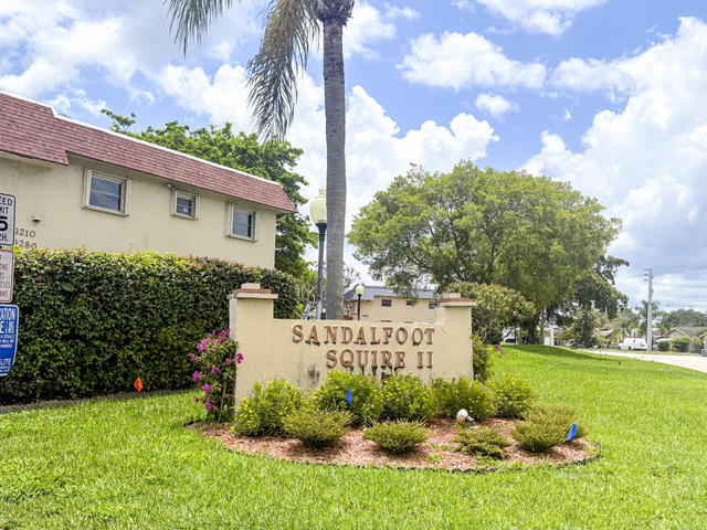 Sandalfoot Squire  photo 2