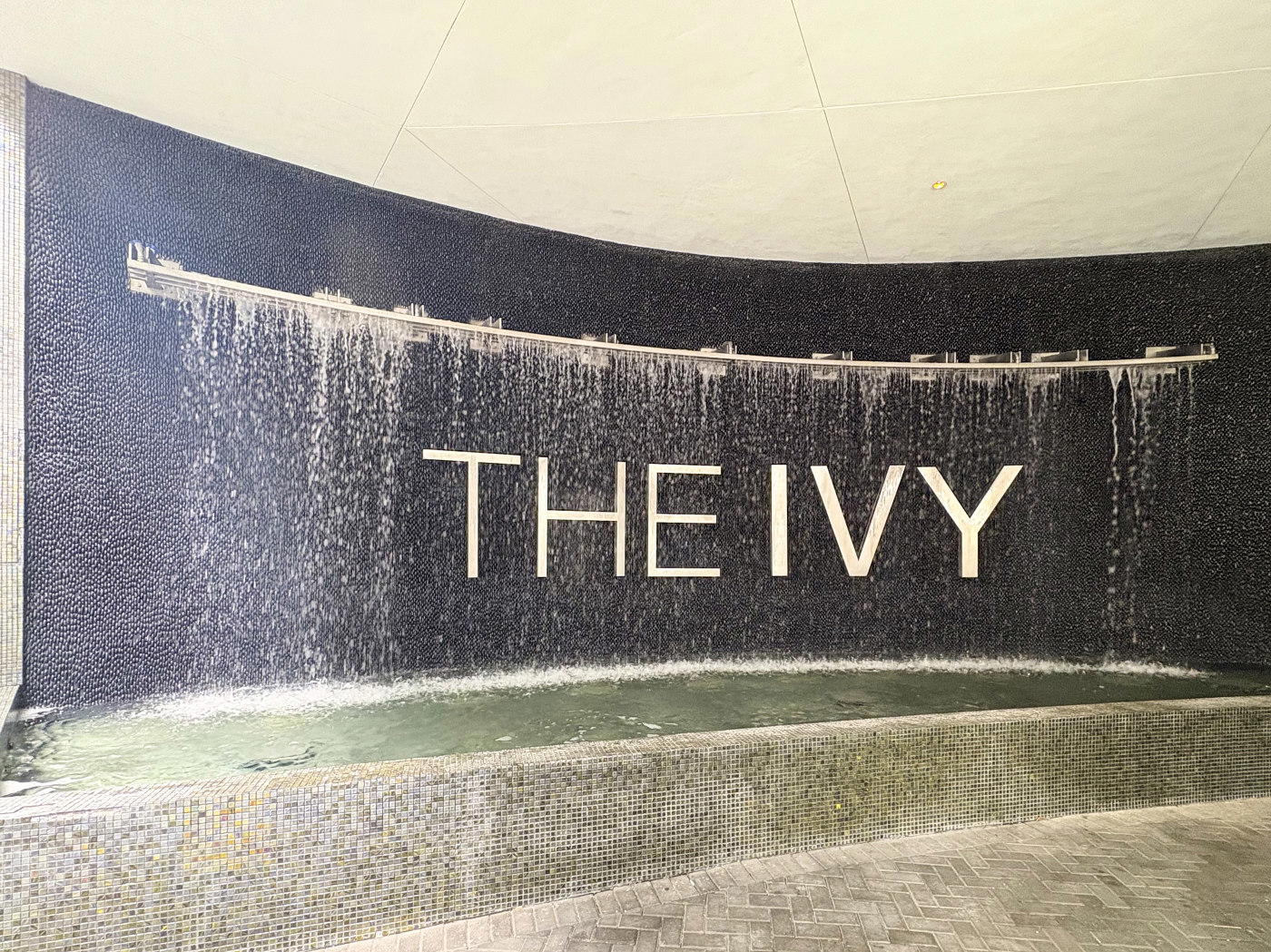 The Ivy - 1