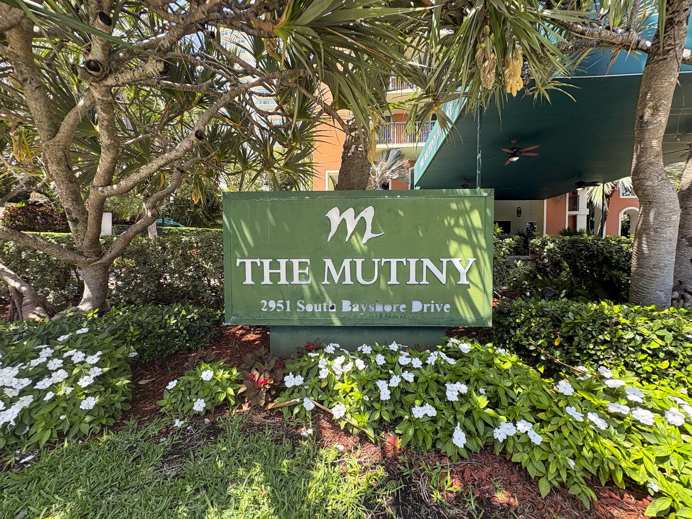 The Mutiny - 1