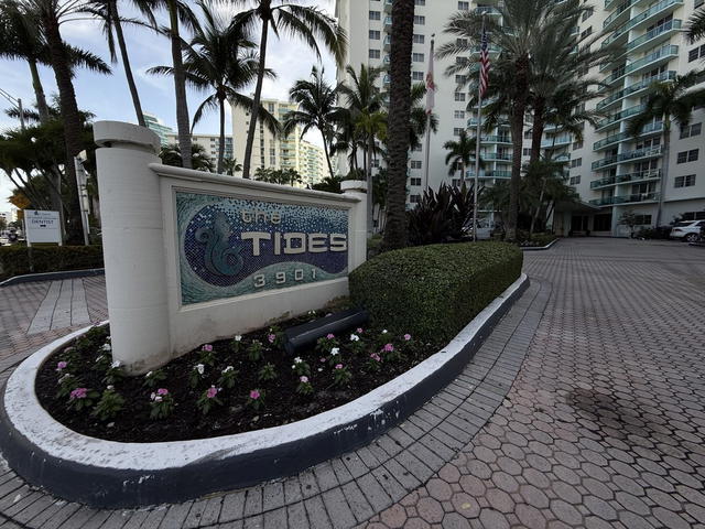 The Tides  photo 2