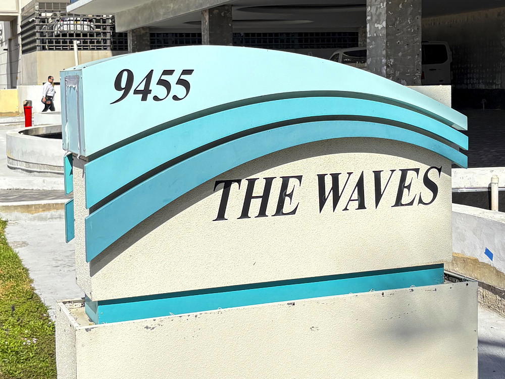 The Waves