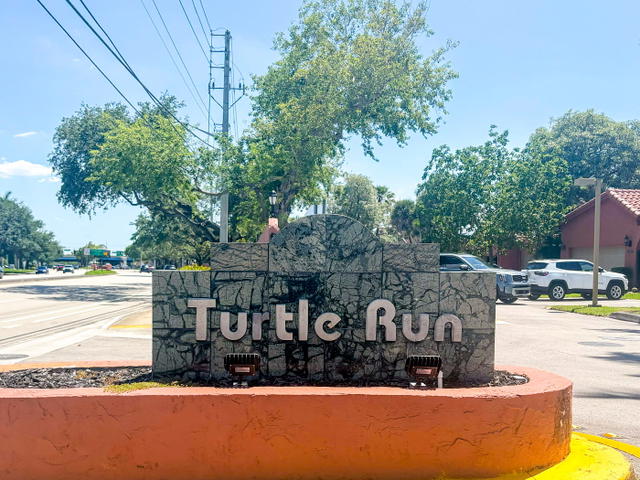 Turtle Run  photo 3