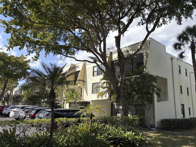 Villa Dorada  photo 3