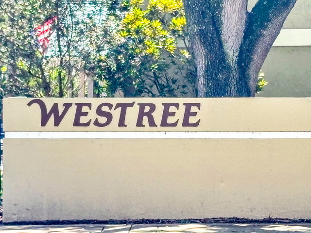 Westree  photo 2